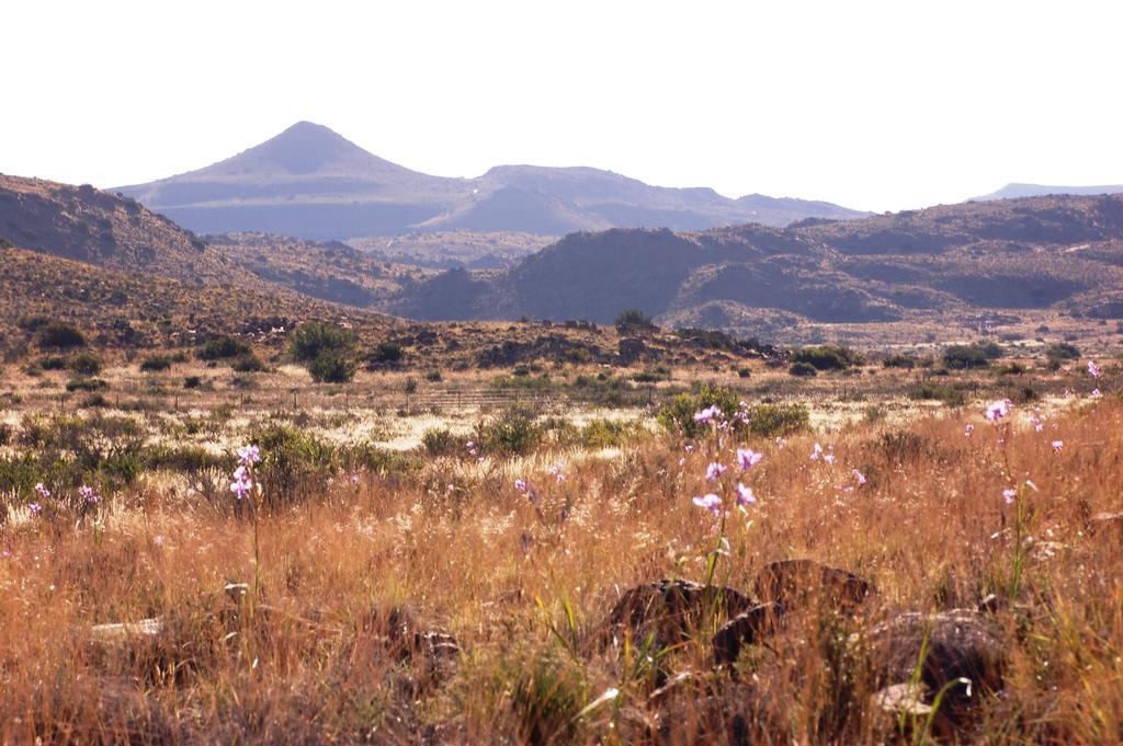 The Vale Karoo Farm Villa Nelspoort Eksteriør bilde